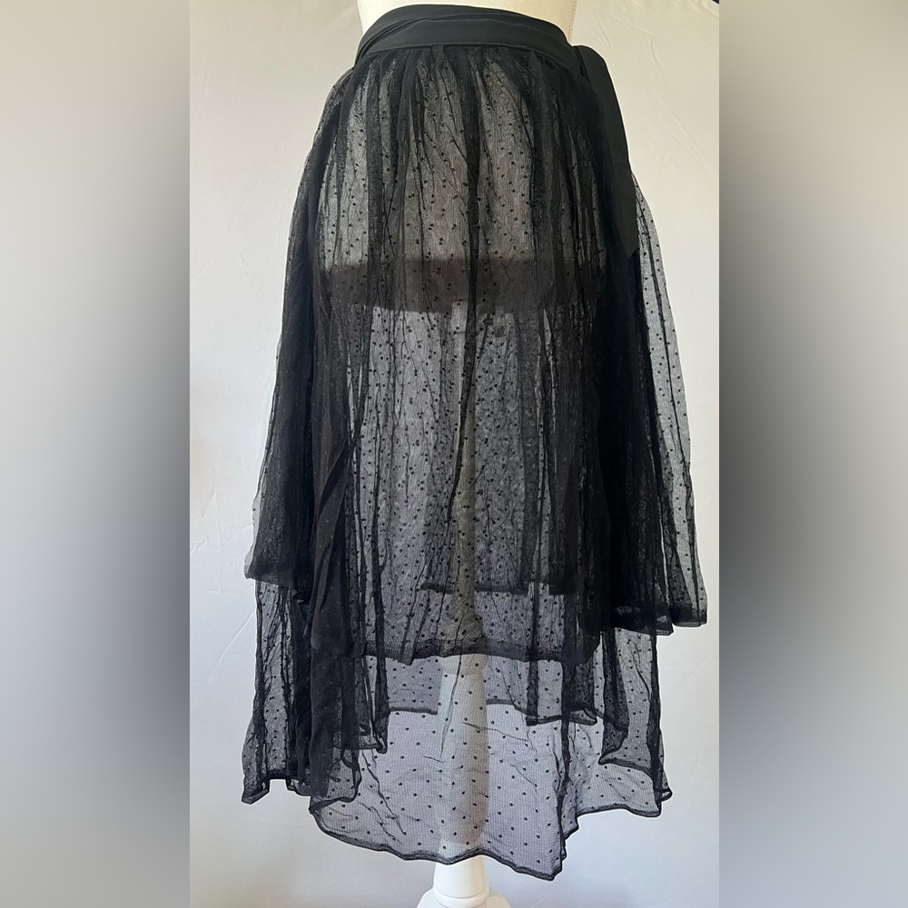 Black Tulle Polka Dot Sheer Whimsy Skirt